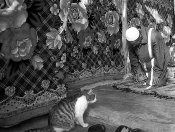 达里雅布依古尔邦节